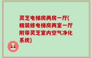 灵芝电梯房两房一厅(精装修电梯房两室一厅附带灵芝室内空气净化系统)