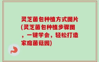 灵芝菌包种植方式图片(灵芝菌包种植步骤图，一键学会，轻松打造家庭菌菇园)