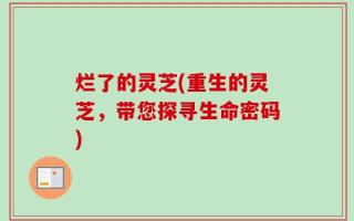 烂了的灵芝(重生的灵芝，带您探寻生命密码)