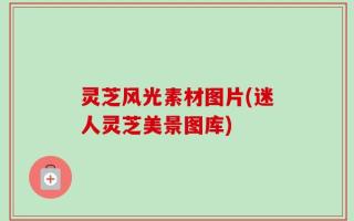 灵芝风光素材图片(迷人灵芝美景图库)