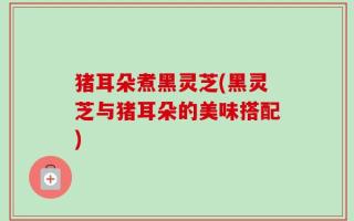 猪耳朵煮黑灵芝(黑灵芝与猪耳朵的美味搭配)