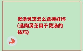 煲汤灵芝怎么选择好坏(选购灵芝用于煲汤的技巧)
