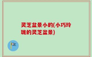 灵芝盆景小的(小巧玲珑的灵芝盆景)