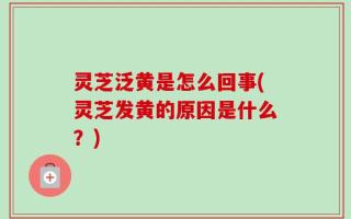 灵芝泛黄是怎么回事(灵芝发黄的原因是什么？)