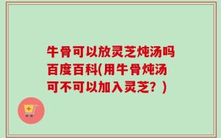 牛骨可以放灵芝炖汤吗百度百科(用牛骨炖汤可不可以加入灵芝？)
