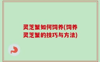 灵芝蟹如何饲养(饲养灵芝蟹的技巧与方法)