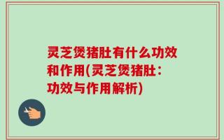 灵芝煲猪肚有什么功效和作用(灵芝煲猪肚：功效与作用解析)