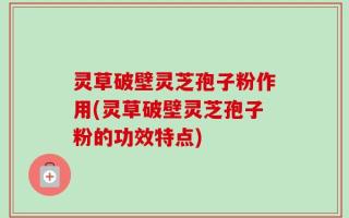 灵草破壁灵芝孢子粉作用(灵草破壁灵芝孢子粉的功效特点)
