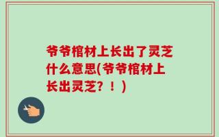 爷爷棺材上长出了灵芝什么意思(爷爷棺材上长出灵芝？！)