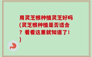 用灵芝根种植灵芝好吗(灵芝根种植是否适合？看看这里就知道了！)