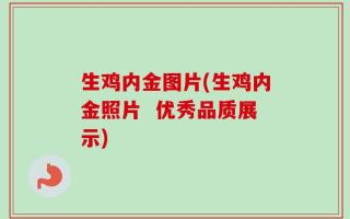 生鸡内金图片(生鸡内金照片  优秀品质展示)