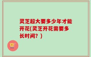 灵芝超大要多少年才能开花(灵芝开花需要多长时间？)