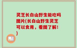 灵芝长白山野生能吃吗图片(长白山野生灵芝可以食用，看图了解！)