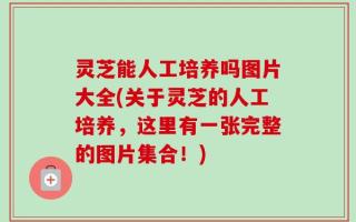 灵芝能人工培养吗图片大全(关于灵芝的人工培养，这里有一张完整的图片集合！)