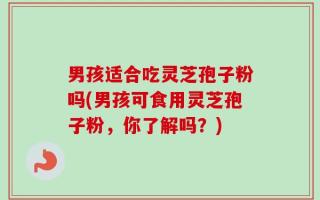 男孩适合吃灵芝孢子粉吗(男孩可食用灵芝孢子粉，你了解吗？)