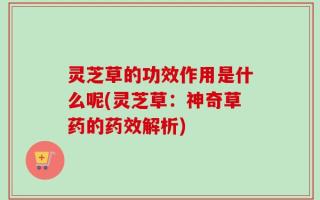灵芝草的功效作用是什么呢(灵芝草：神奇草药的药效解析)