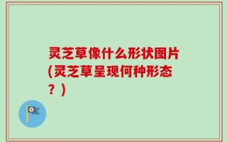 灵芝草像什么形状图片(灵芝草呈现何种形态？)