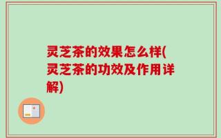 灵芝茶的效果怎么样(灵芝茶的功效及作用详解)