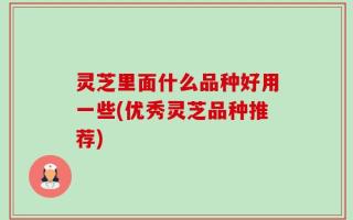 灵芝里面什么品种好用一些(优秀灵芝品种推荐)