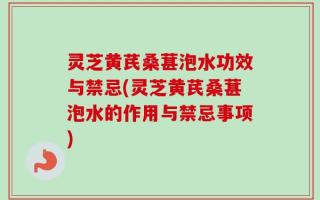 灵芝黄芪桑葚泡水功效与禁忌(灵芝黄芪桑葚泡水的作用与禁忌事项)