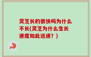 灵芝长的很快吗为什么不长(灵芝为什么生长速度如此迅速？)