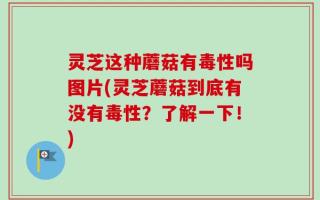 灵芝这种蘑菇有毒性吗图片(灵芝蘑菇到底有没有毒性？了解一下！)