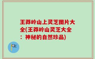 王莽岭山上灵芝图片大全(王莽岭山灵芝大全：神秘的自然珍品)