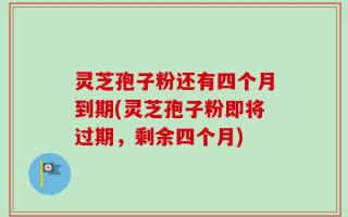 灵芝孢子粉还有四个月到期(灵芝孢子粉即将过期，剩余四个月)