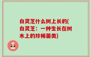 白灵芝什么树上长的(白灵芝：一种生长在树木上的珍稀菌类)