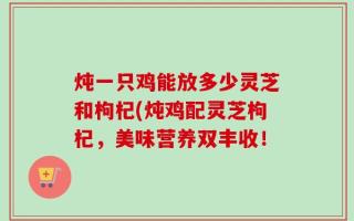炖一只鸡能放多少灵芝和枸杞(炖鸡配灵芝枸杞，美味营养双丰收！