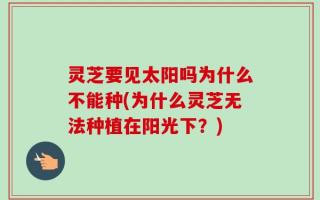 灵芝要见太阳吗为什么不能种(为什么灵芝无法种植在阳光下？)