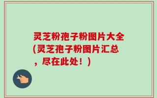 灵芝粉孢子粉图片大全(灵芝孢子粉图片汇总，尽在此处！)