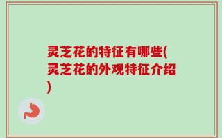 灵芝花的特征有哪些(灵芝花的外观特征介绍)