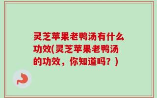 灵芝苹果老鸭汤有什么功效(灵芝苹果老鸭汤的功效，你知道吗？)