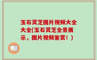 玉石灵芝图片视频大全大全(玉石灵芝全景展示，图片视频鉴赏！)