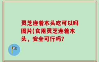 灵芝连着木头吃可以吗图片(食用灵芝连着木头，安全可行吗？