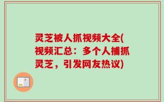 灵芝被人抓视频大全(视频汇总：多个人捕抓灵芝，引发网友热议)