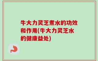 牛大力灵芝煮水的功效和作用(牛大力灵芝水的健康益处)