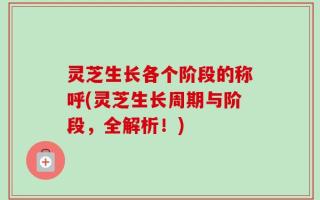 灵芝生长各个阶段的称呼(灵芝生长周期与阶段，全解析！)