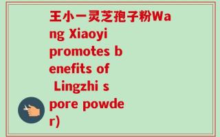 王小一灵芝孢子粉Wang Xiaoyi promotes benefits of Lingzhi spore powder)