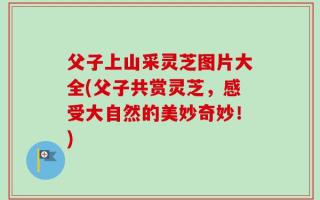 父子上山采灵芝图片大全(父子共赏灵芝，感受大自然的美妙奇妙！)