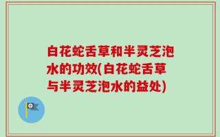 白花蛇舌草和半灵芝泡水的功效(白花蛇舌草与半灵芝泡水的益处)