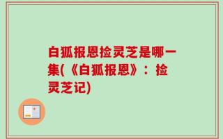 白狐报恩捡灵芝是哪一集(《白狐报恩》：捡灵芝记)