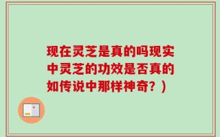 现在灵芝是真的吗现实中灵芝的功效是否真的如传说中那样神奇？)