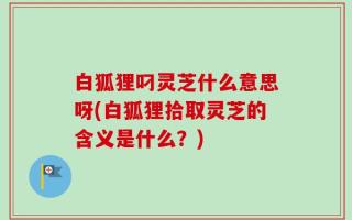 白狐狸叼灵芝什么意思呀(白狐狸拾取灵芝的含义是什么？)