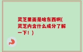 灵芝里面是啥东西啊(灵芝内含什么成分了解一下！)