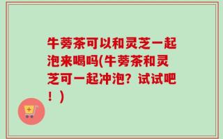 牛蒡茶可以和灵芝一起泡来喝吗(牛蒡茶和灵芝可一起冲泡？试试吧！)