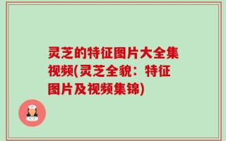 灵芝的特征图片大全集视频(灵芝全貌：特征图片及视频集锦)