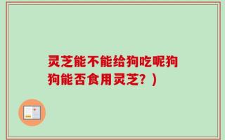 灵芝能不能给狗吃呢狗狗能否食用灵芝？)
