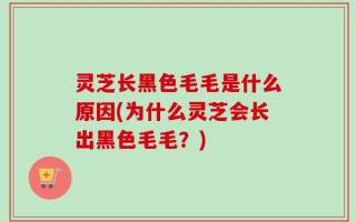灵芝长黑色毛毛是什么原因(为什么灵芝会长出黑色毛毛？)